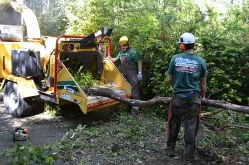 tree services Fort Payne